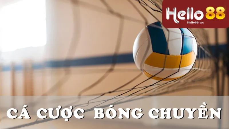 Bóng Chuyền Hello88 - Trải Nghiệm Mới Cùng Nhà Cái Hello88 3 Những điểm nổi bật trong trải nghiệm bóng chuyền online